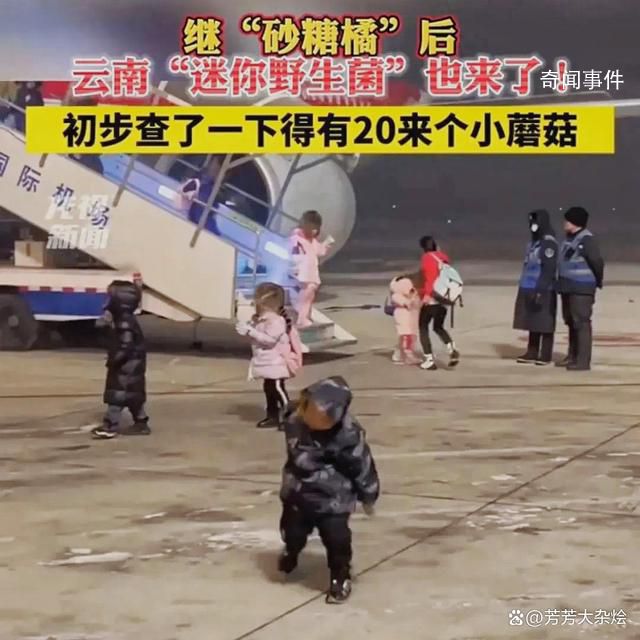 云南小蘑菇開始玩雪了 感受冰雪帶來的速度與激情