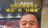 東北多地網(wǎng)紅自發(fā)宣傳家鄉(xiāng) 網(wǎng)友喊話當(dāng)?shù)匚穆镁郑嚎煨袆?dòng)啊