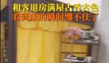 租客退租留下宮里宮氣家具 一床查詢租客精神狀態(tài)