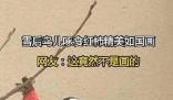 雪后鳥兒啄食紅柿神還原國畫 引發(fā)了廣泛關(guān)注