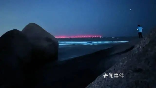 珠海一沙灘出現(xiàn)藍(lán)眼淚奇觀 宛如一條流動的藍(lán)色星河