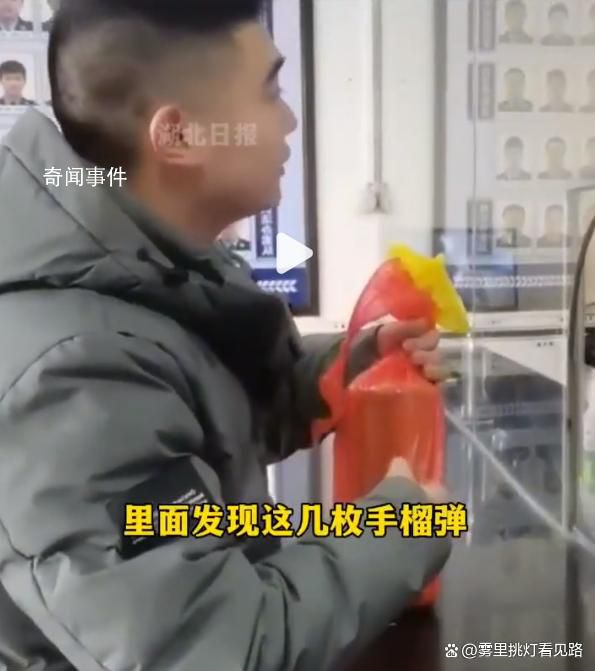 男子租房意外發現6枚手榴彈