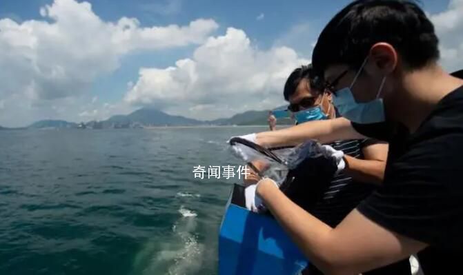 網(wǎng)友吐槽海葬太貴了 為何只是將骨灰撒入海中就要花費上萬?
