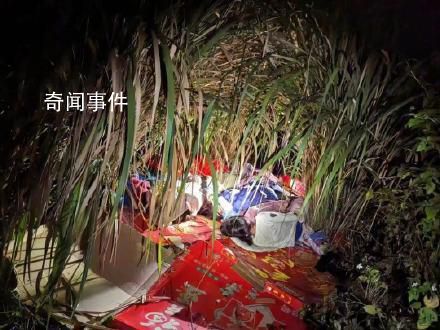 失蹤4姐弟凌晨被發現在蘆葦叢睡覺