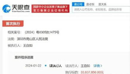 格力回應(yīng)王自如被執(zhí)行3383萬(wàn) 執(zhí)行法院為深圳市南山區(qū)人民法院