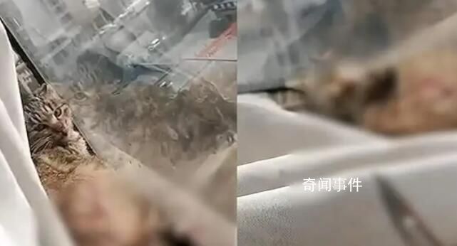 青海大壩潰堤未造成人員傷亡 共5個鄉鎮的生產生活造成影響