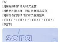 第一撥靠Sora賺錢的人已經出現