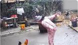 女子經(jīng)過門口被公雞欺負 結(jié)果反轉(zhuǎn)