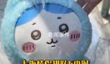 情侶排隊5小時限購10分鐘chiikawa 上海又出現大排隊？