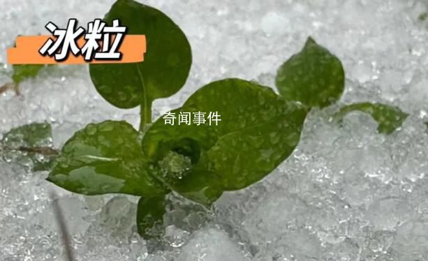 湖北已出現(xiàn)冰粒等七種降水形態(tài) 湖北降水相態(tài)類型復(fù)雜