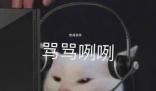 我去年買(mǎi)了個(gè)包超耐磨是什么梗 我去年買(mǎi)了個(gè)包超耐磨是什么意思